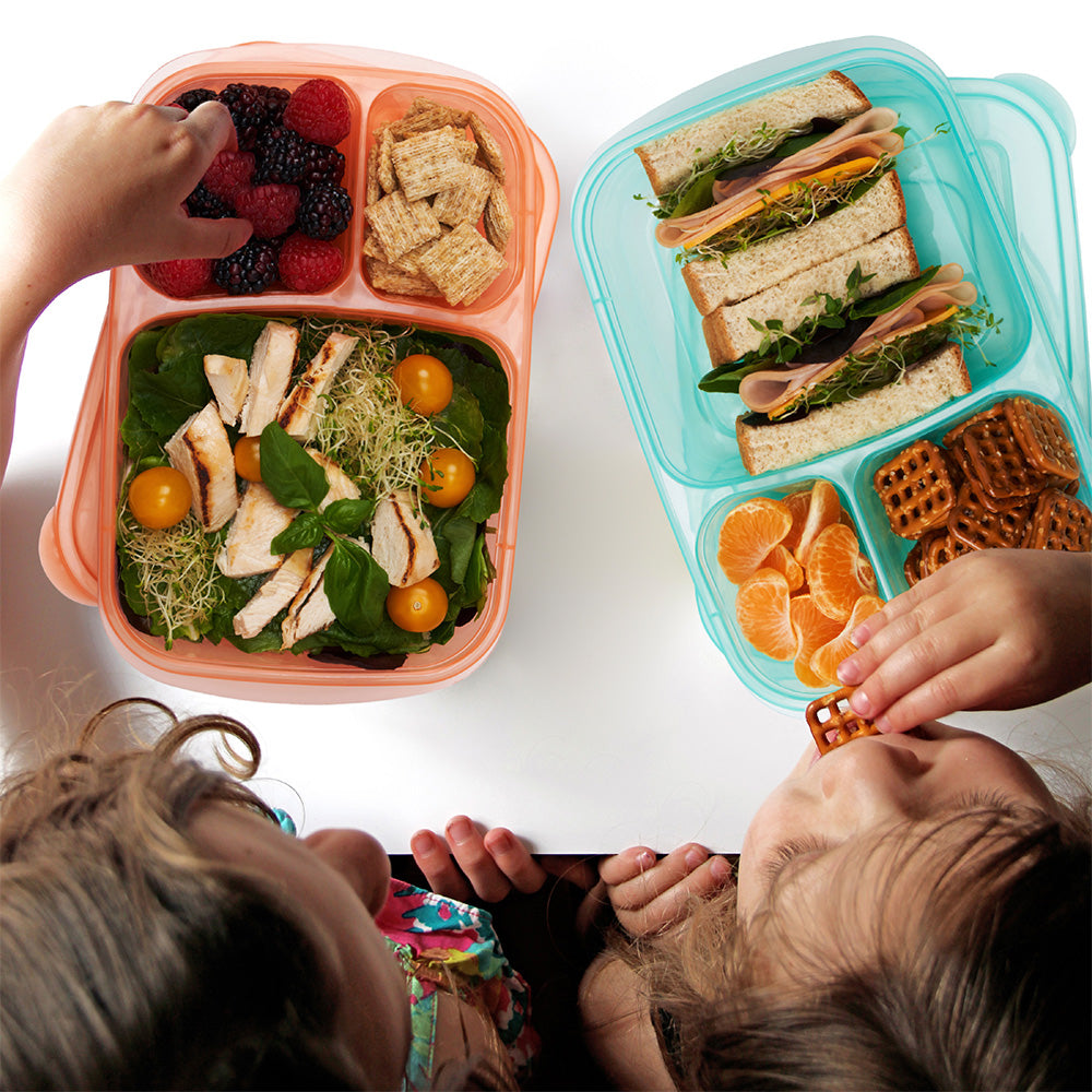 Easylunchboxes - Bento Lunch Boxes - Reusable 3-Compartment Food Containers for School Work and Travel Set of 10 Classic