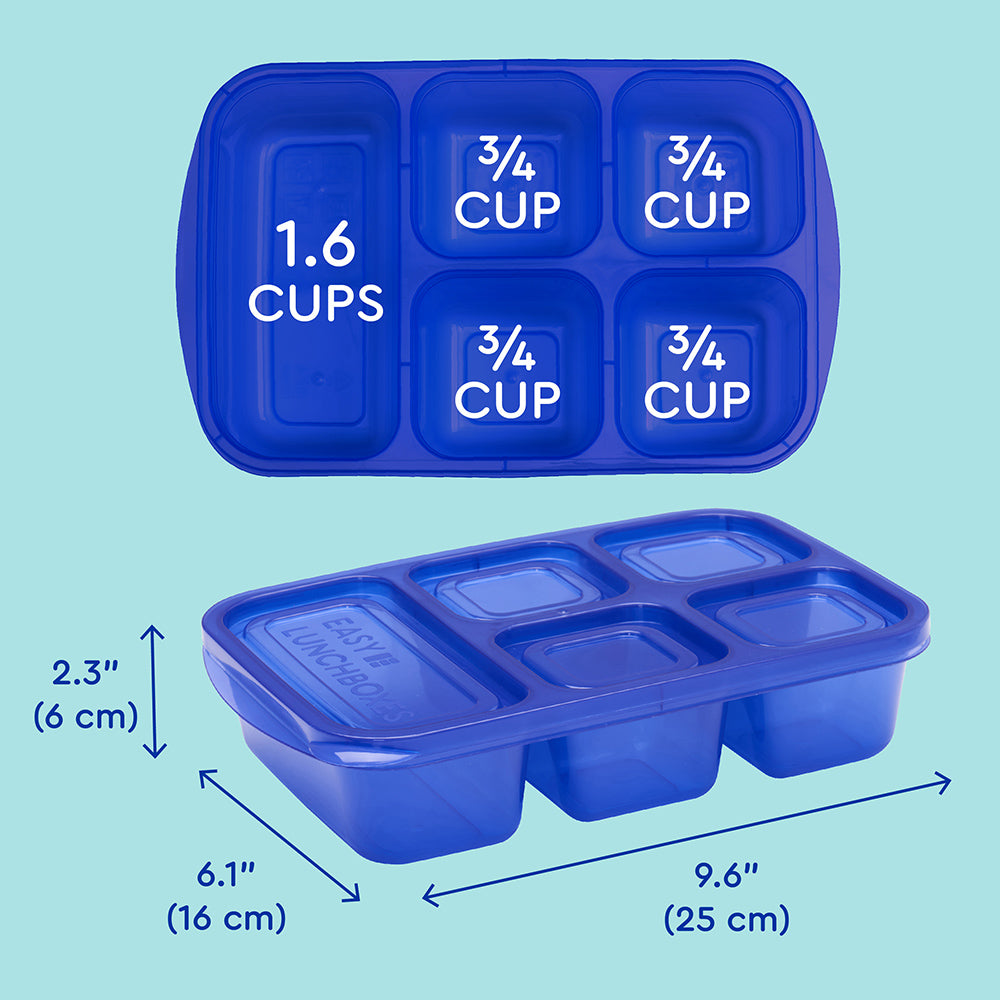 5-Compartment Food Containers - Jewel Brights